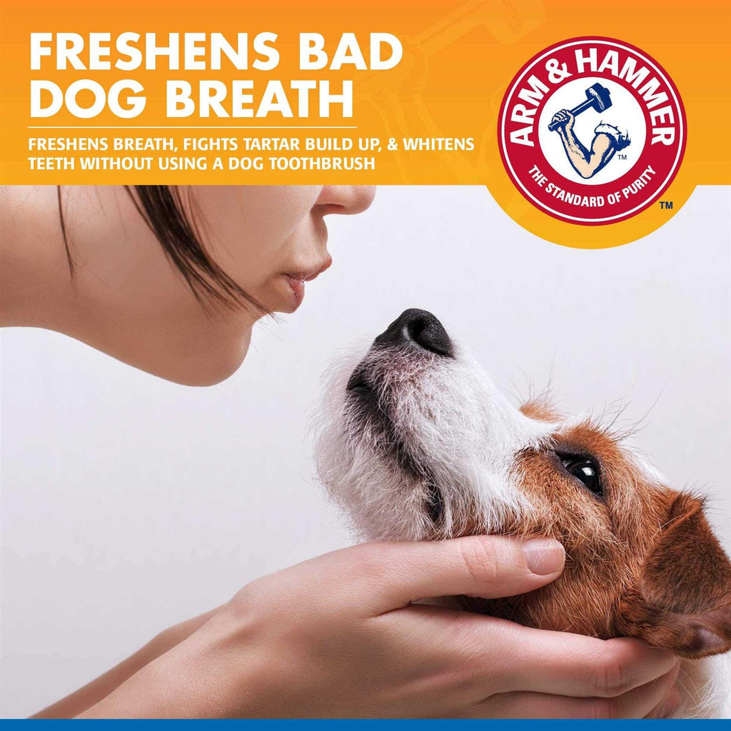 Tartar Control Dental Spray for Dogs X7039