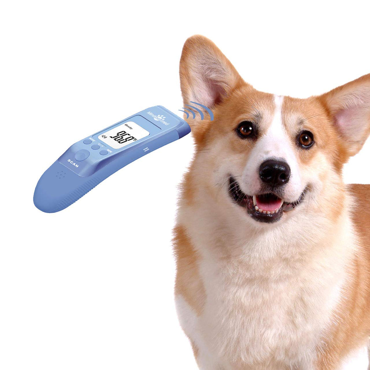Fast Clinical Pet Thermometer Pack of 2 P6815
