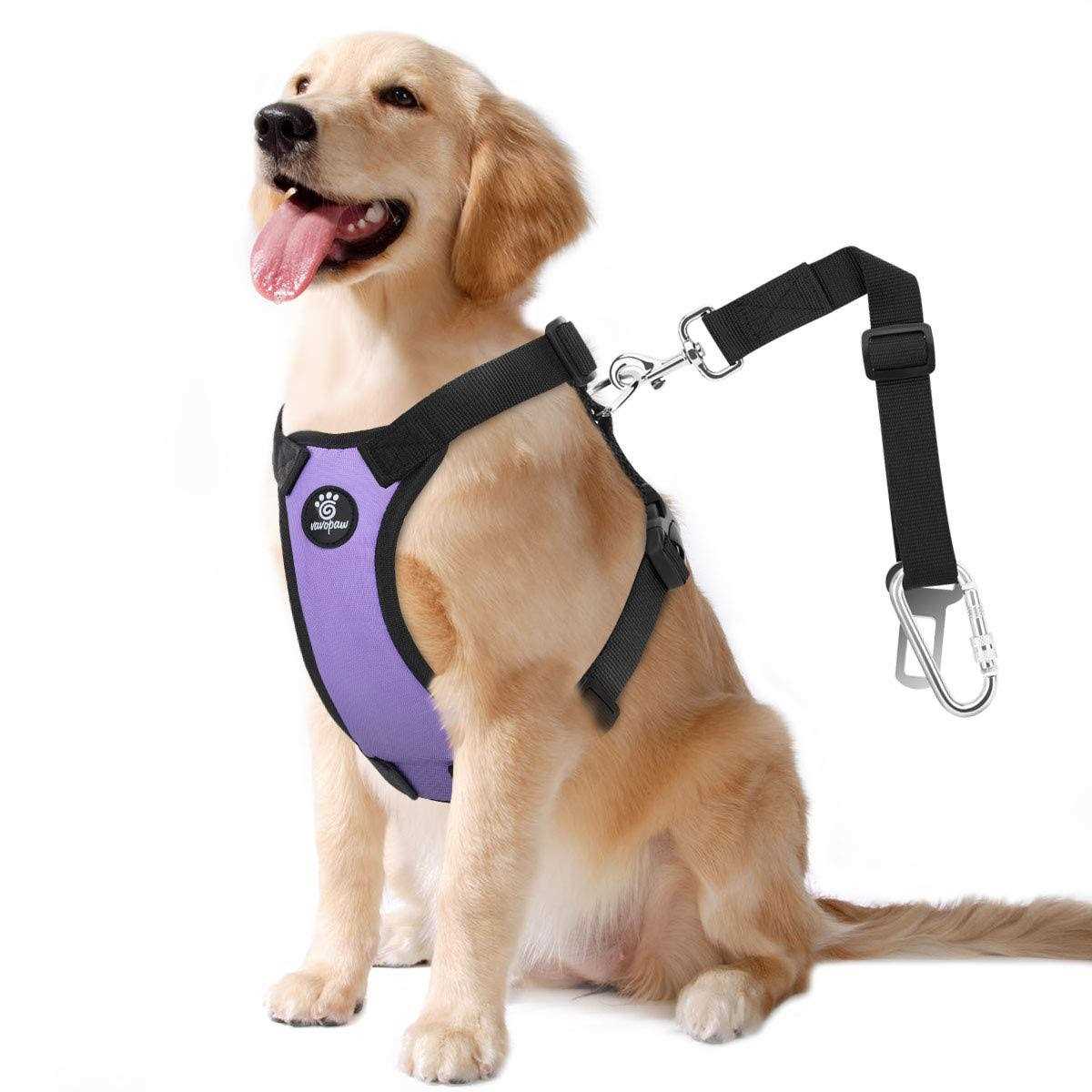 Adjustable Padded Mesh Dog Safety Vest Harness P3203