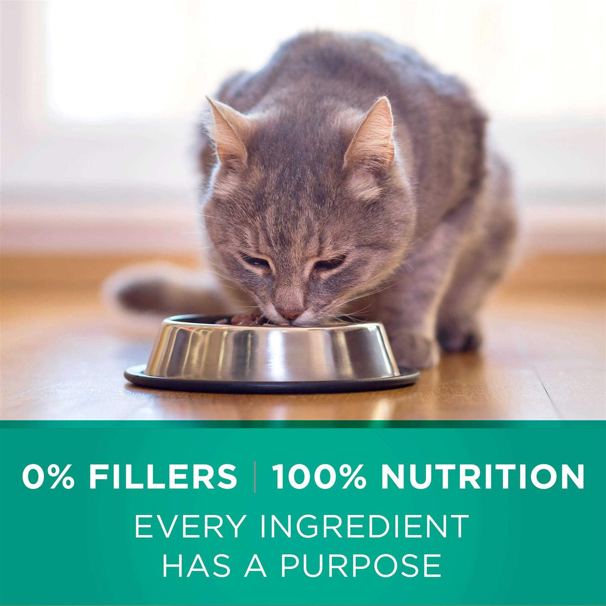 Sensitive Systems Dry Cat Food W701151