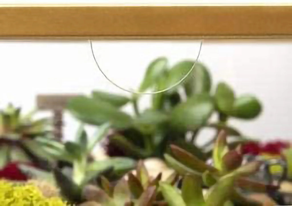 Round Terrarium Display End Table with Reinforced Glass M29717