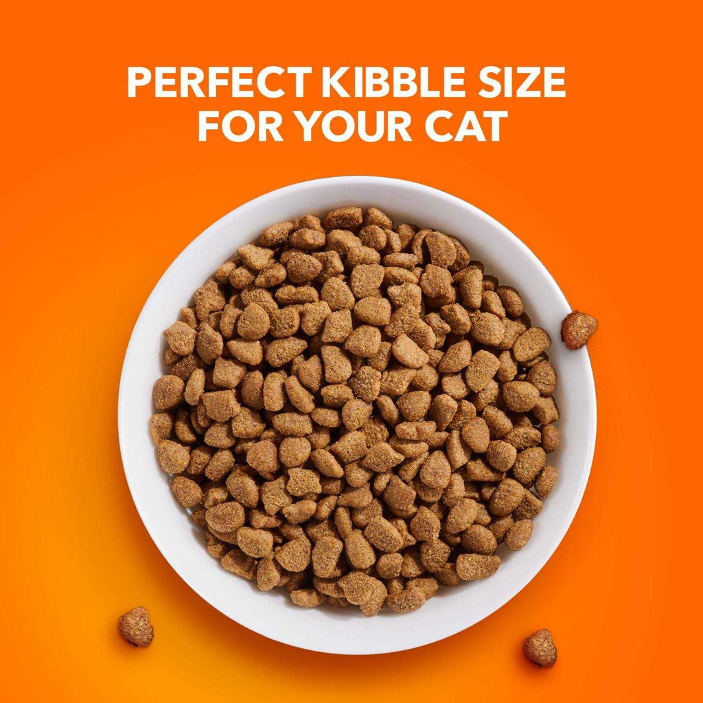 Sensitive Digestion & Skin Dry Cat Food S3459