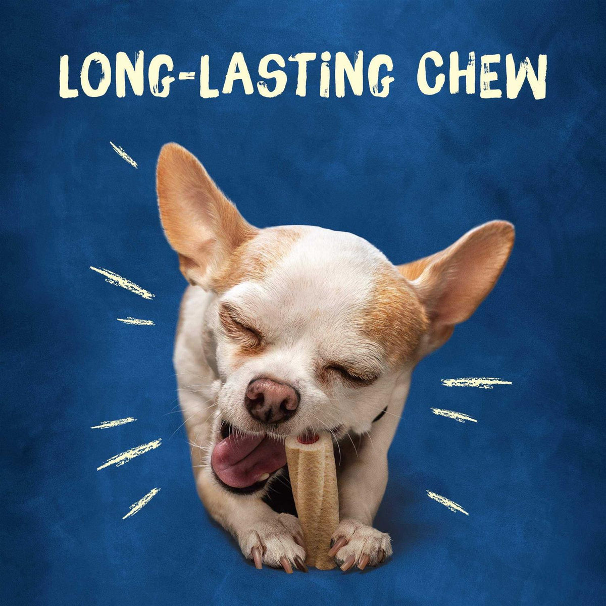 Tiny Dog Treats C346433