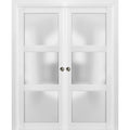 Frosted Glass Sliding French Double Pocket Doors 48 x 80 inches 3 Lites F442753