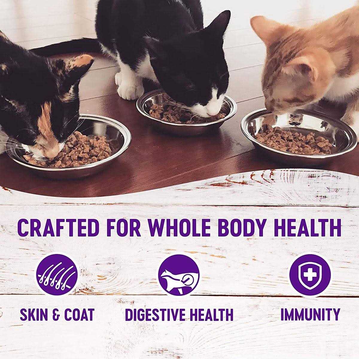 Cat Food M2568