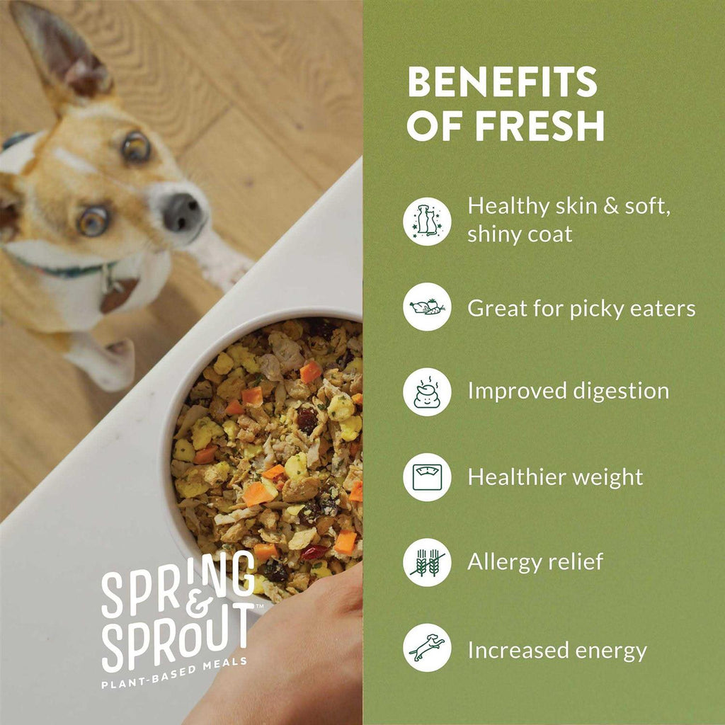 Plant-Based Protein & Cage-Free Egg Recipe Dog Food O1596