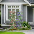 Black Metal Garden Arch Trellises 2 Pack R881362