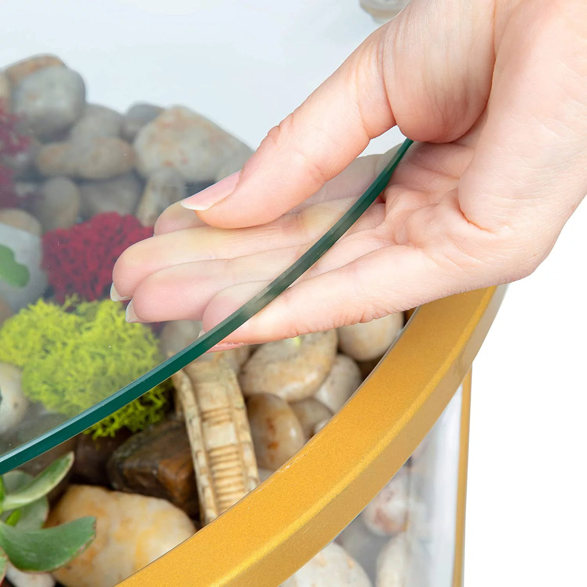 Round Terrarium Display End Table with Reinforced Glass M29717