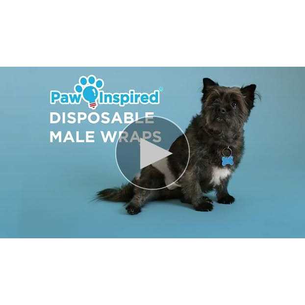 Disposable Belly Band Male Dog Wraps O745315
