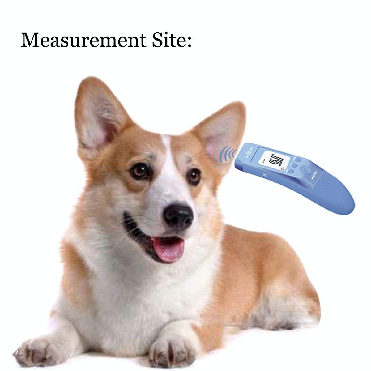 Fast Clinical Pet Thermometer Pack of 2 P6815