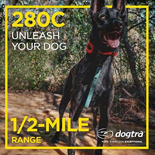 Dog Remote Training Collar E638901