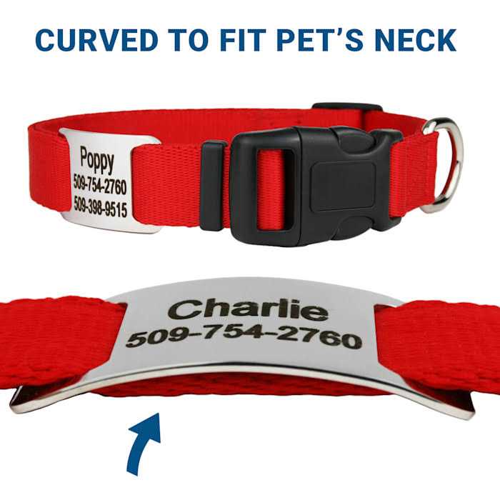 Stainless Steel Slide-On Dog & Cat Tag U98142