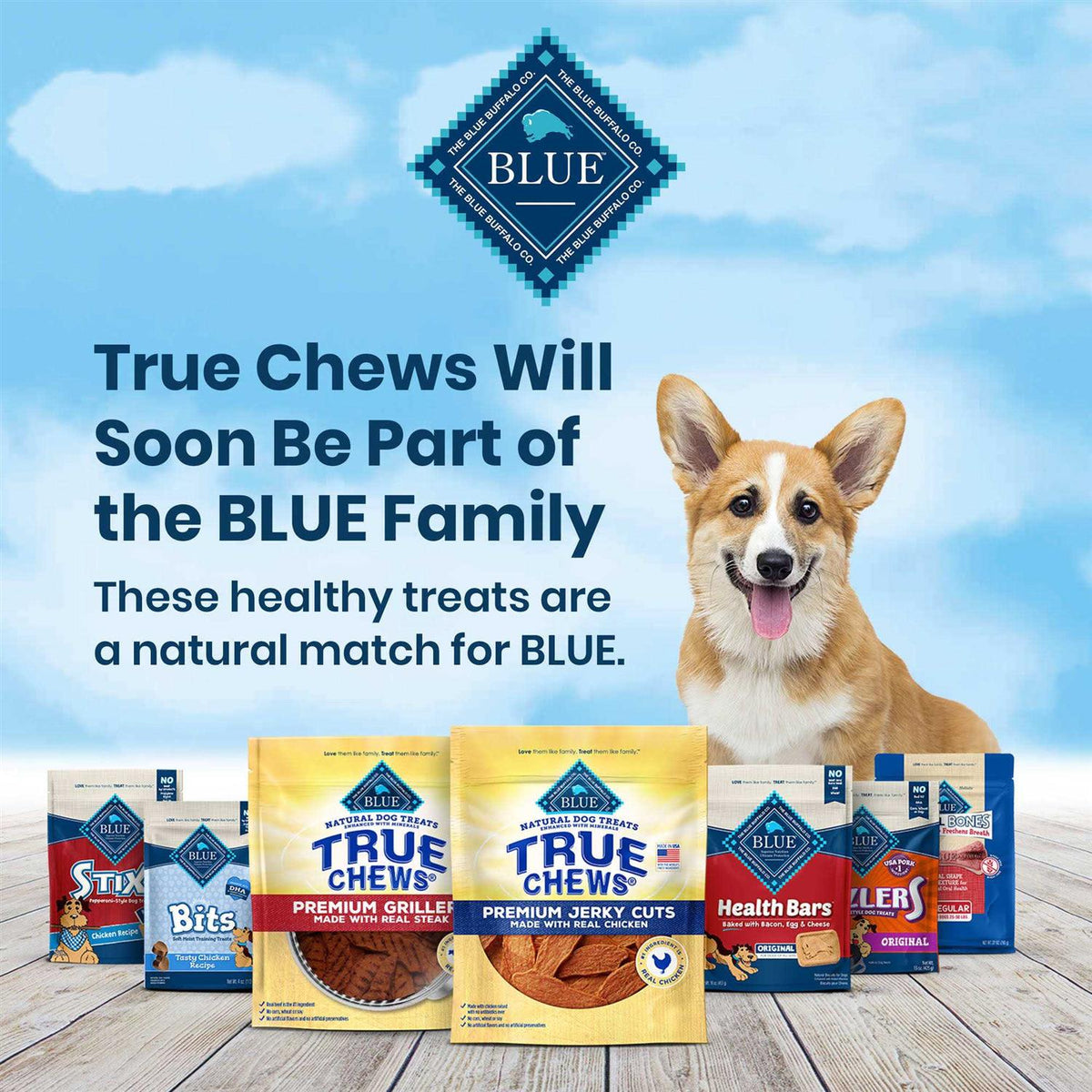 Dog Treats B94821