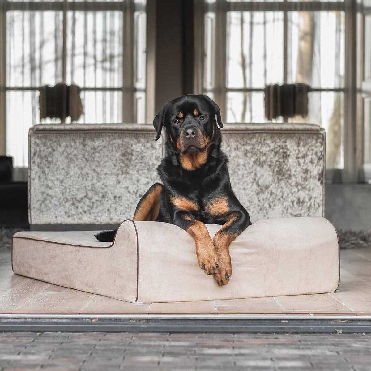 Orthopedic Waterproof Dog Beds E5668