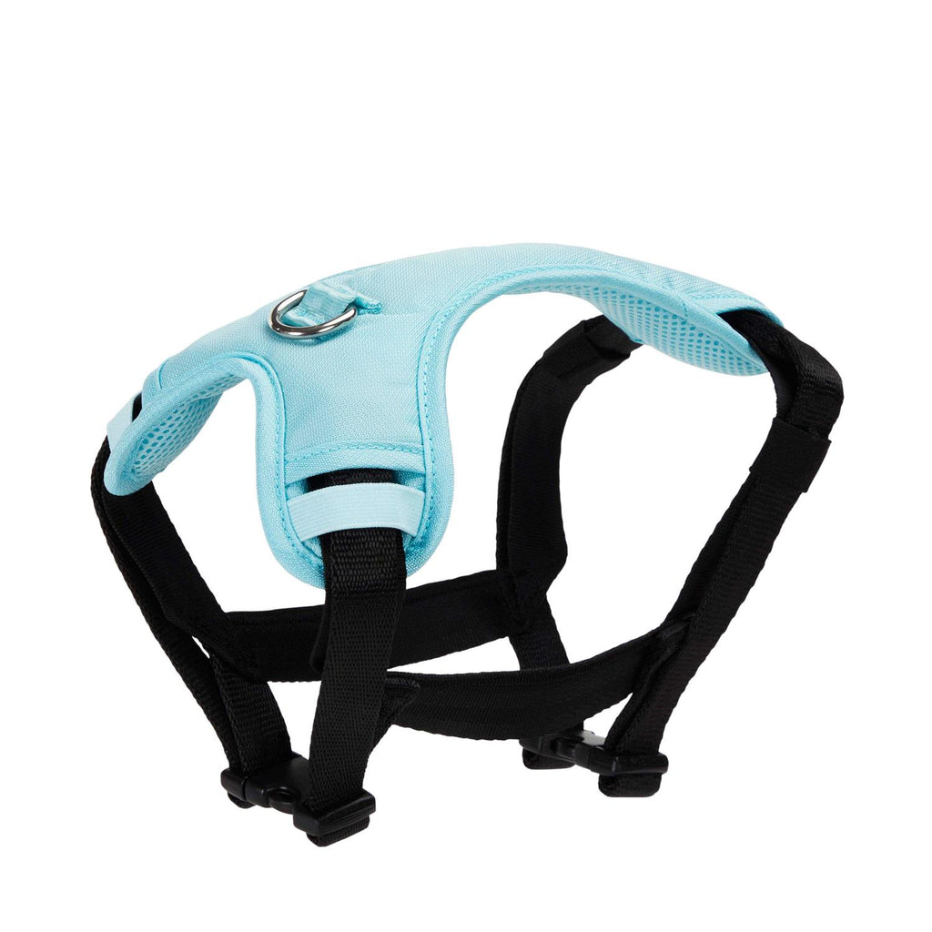 Teal Dog Harness I211