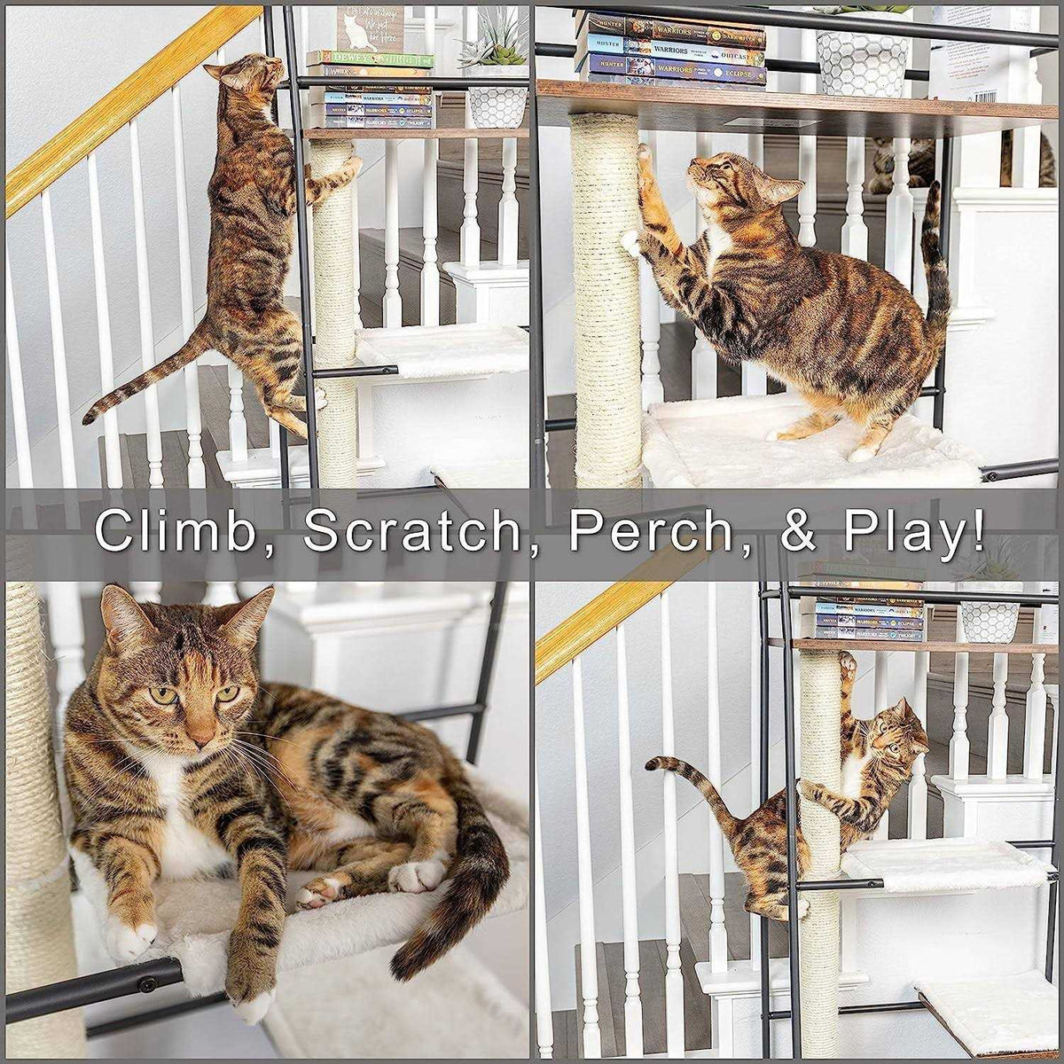 Cat Climber with Scratching Post and Cat Hammock Y739