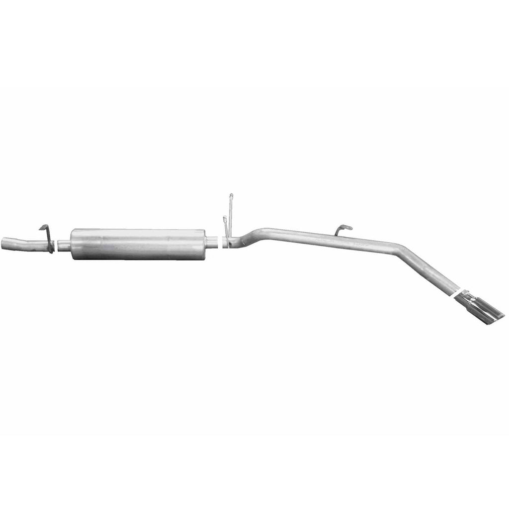 Stainless Cat-Back Dual Exhaust System R3254