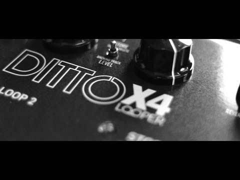 Ditto X4 Looper Pedal U578040