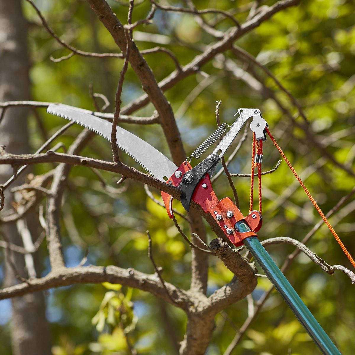 Tree Pruner L1158