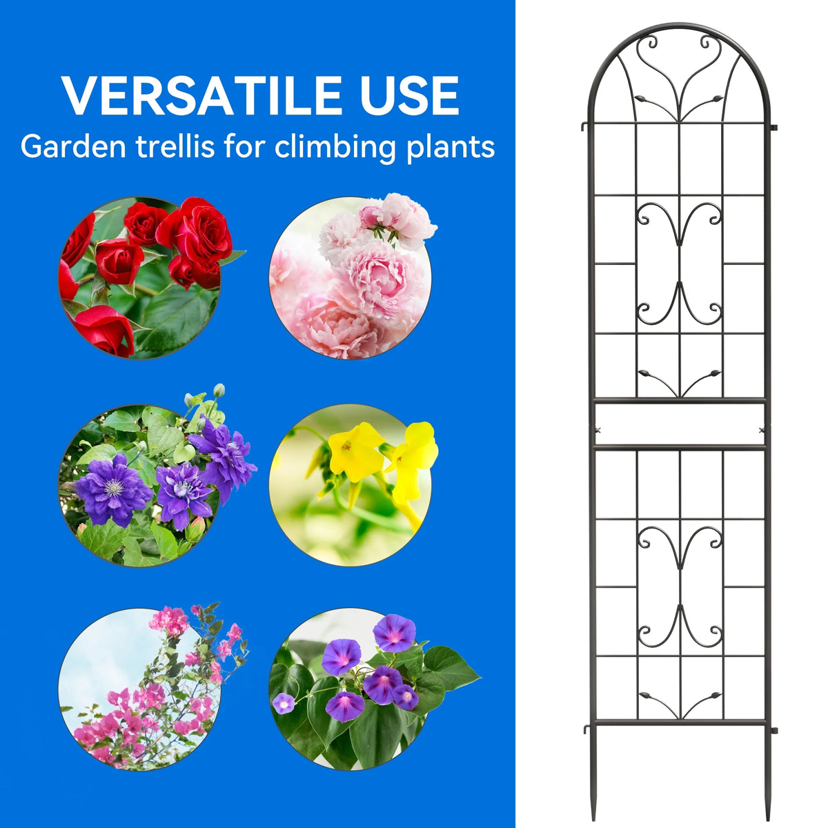 Black Metal Garden Arch Trellises 2 Pack R881362