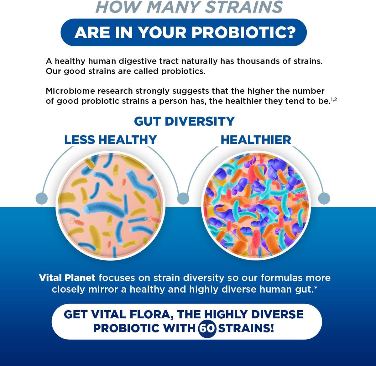 Women’s Daily Probiotic 60 Billion CFU, 60 Strains, 30 Capsules S8501