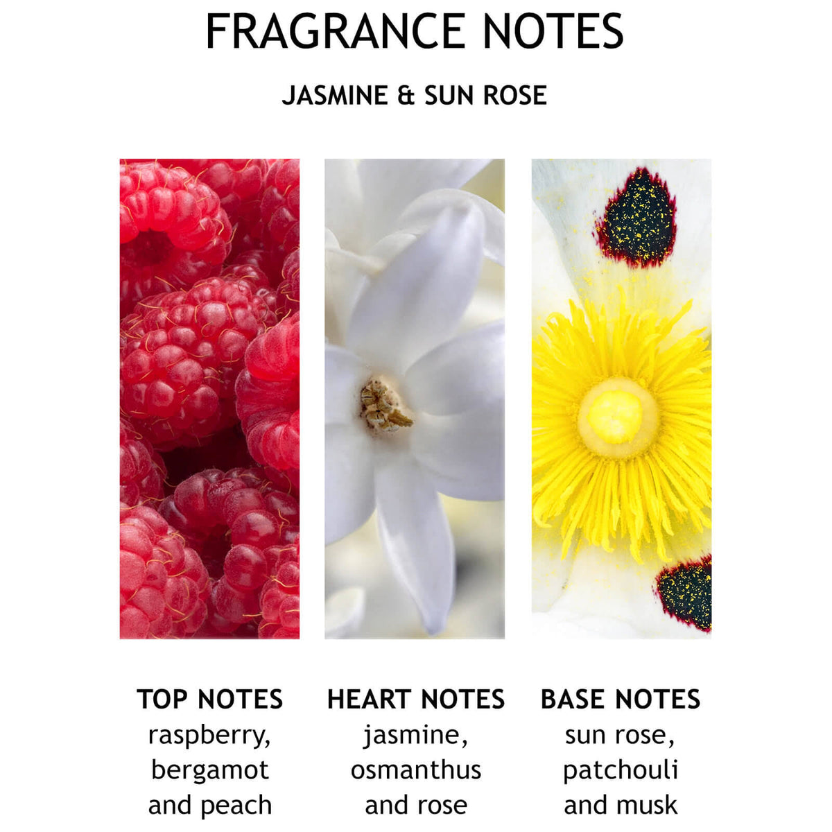 Jasmine & Sun Rose Body Oil 100ml T722231