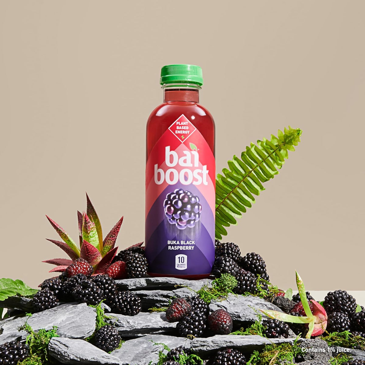 Black Raspberry Beverage, 18 fl oz (Pack of 6) I3018