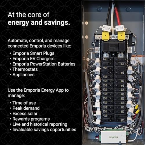 Smart Home Energy Monitor with 16 50A Circuit Level Sensors I937