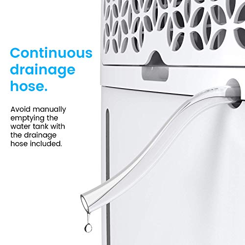 Compact Electric Mini Dehumidifier, 2200 Cubic Feet C66166