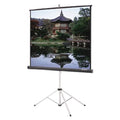 Black Carpeted Matte White Projector Screen L3864