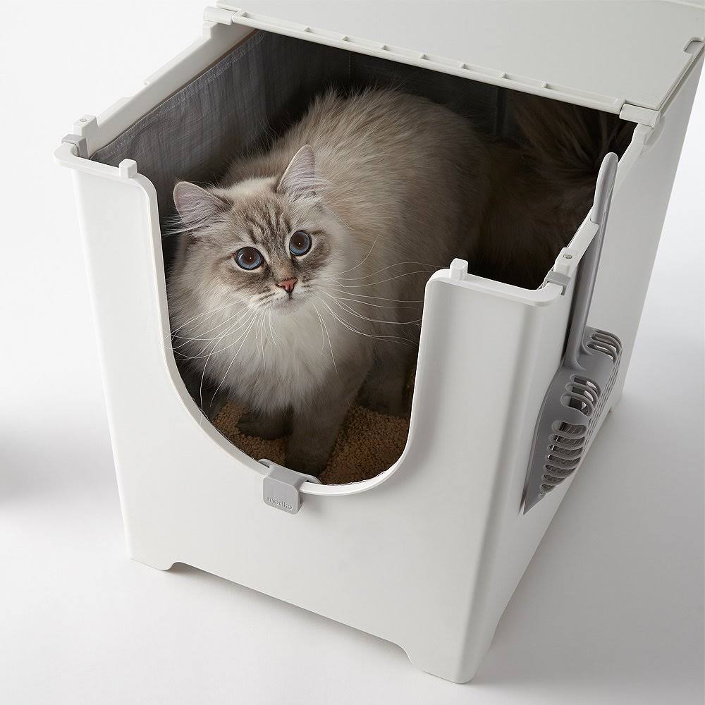 Cat Litter Box I848578