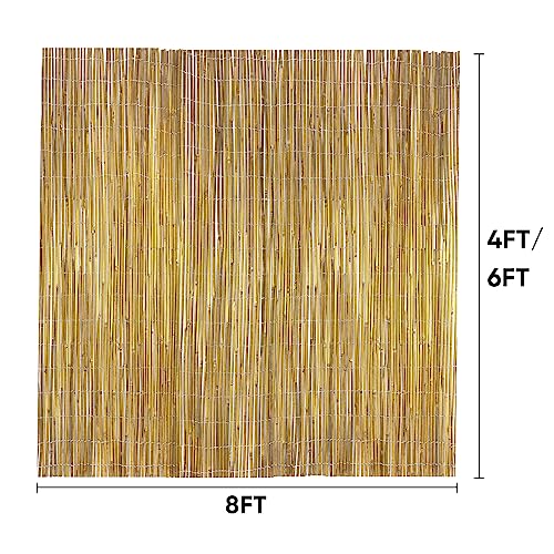 6ft x 8ft x 0.4" Natural Bamboo Fence Rolled Bamboo Fencing H771