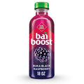 Black Raspberry Beverage, 18 fl oz (Pack of 6) I3018