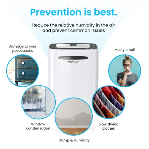 Compact Electric Mini Dehumidifier, 2200 Cubic Feet C66166