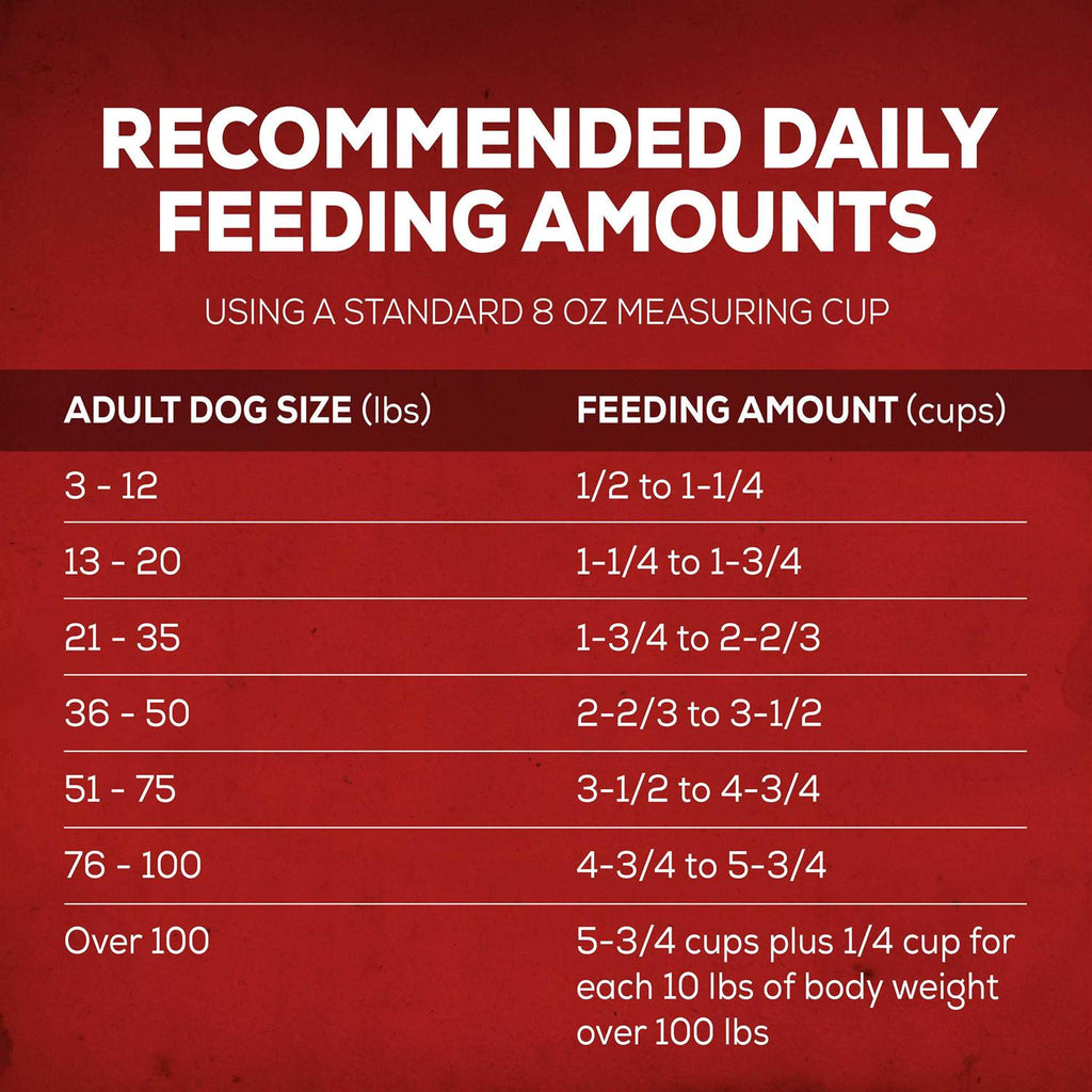 Savory Beef Dry Dog Food V33940