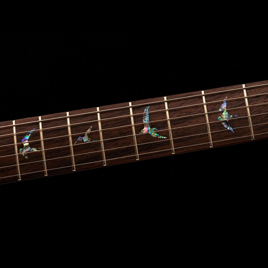 Black Gold Burst Electric Guitar E24529