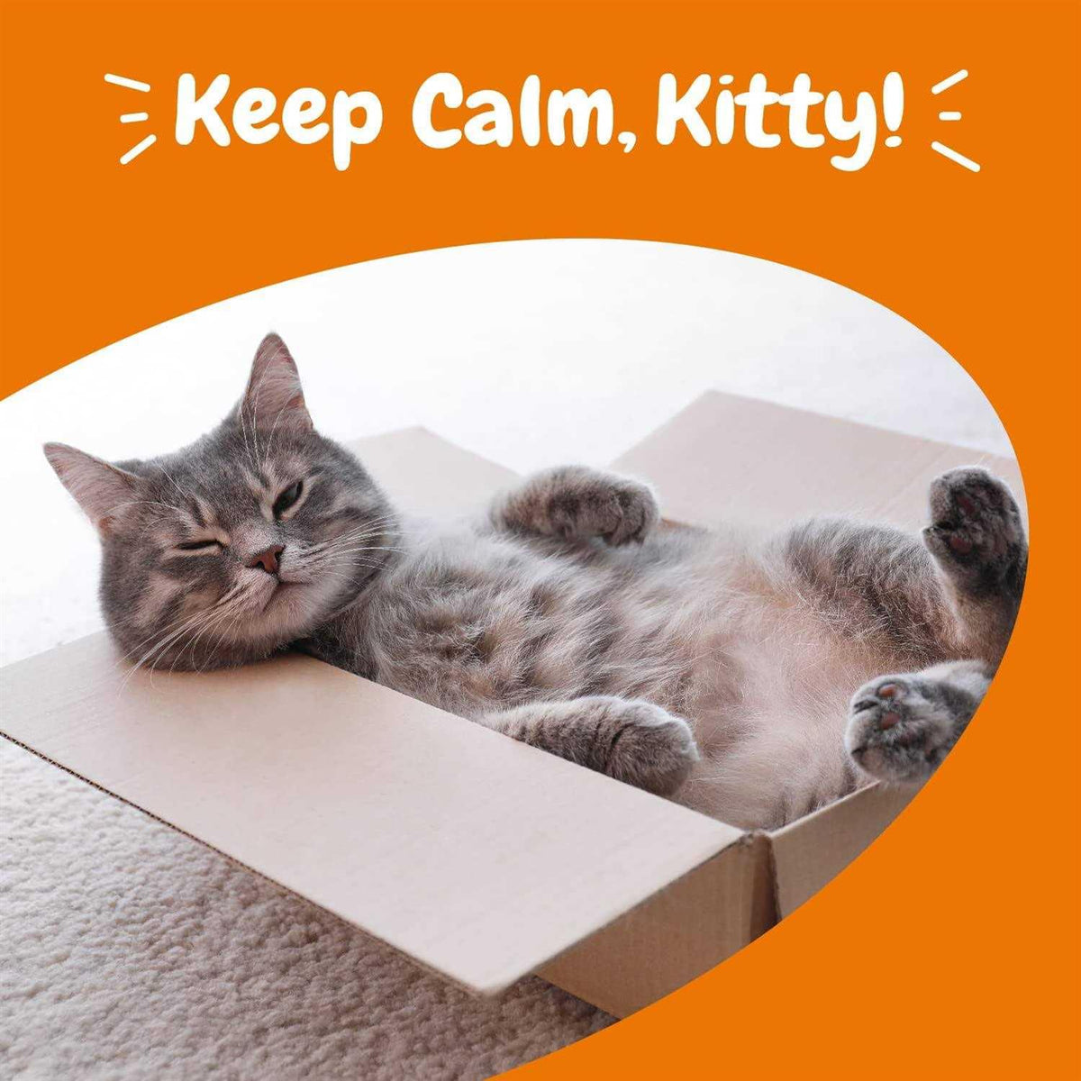 Calming Bites for Cats P56824