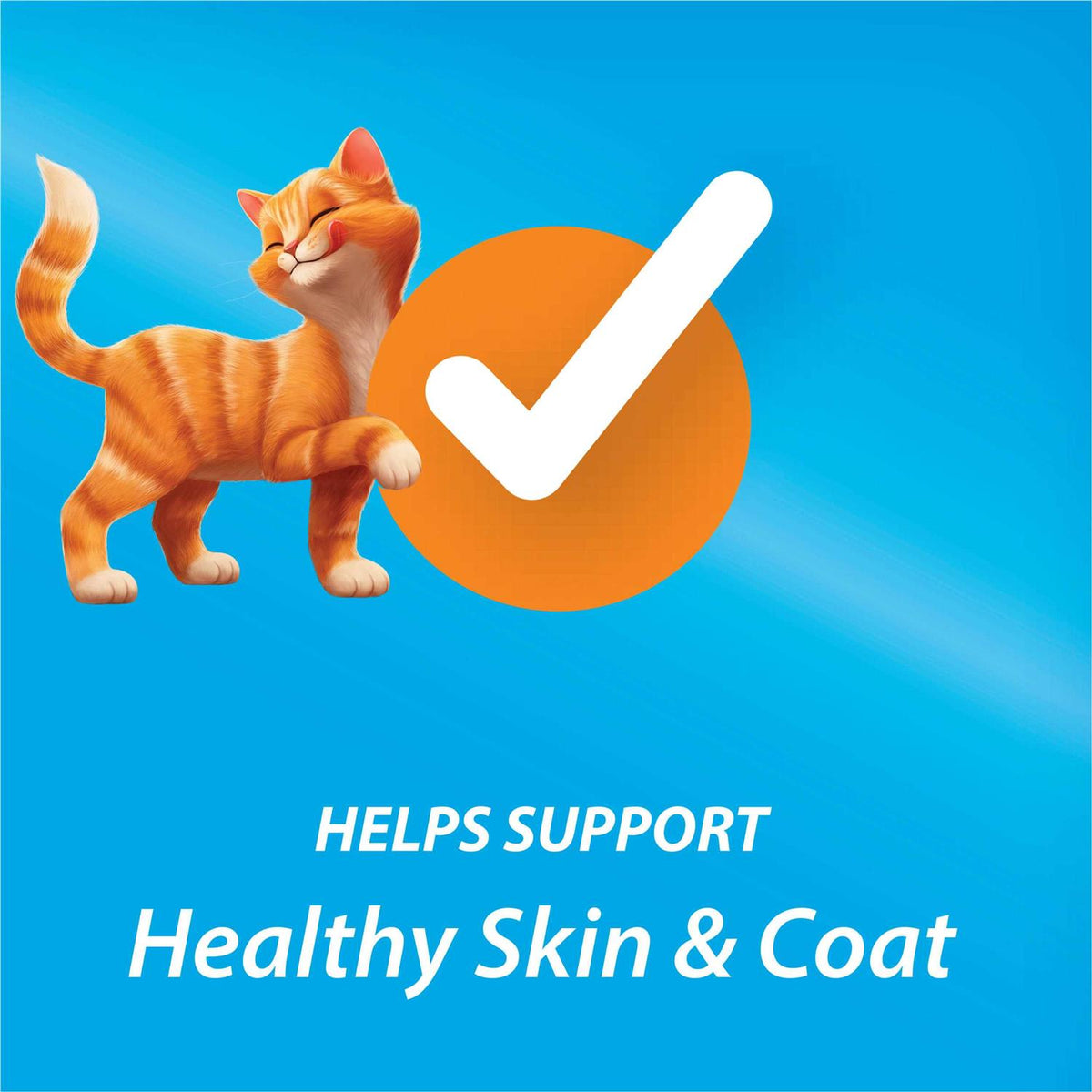 Dry Cat Food R4657