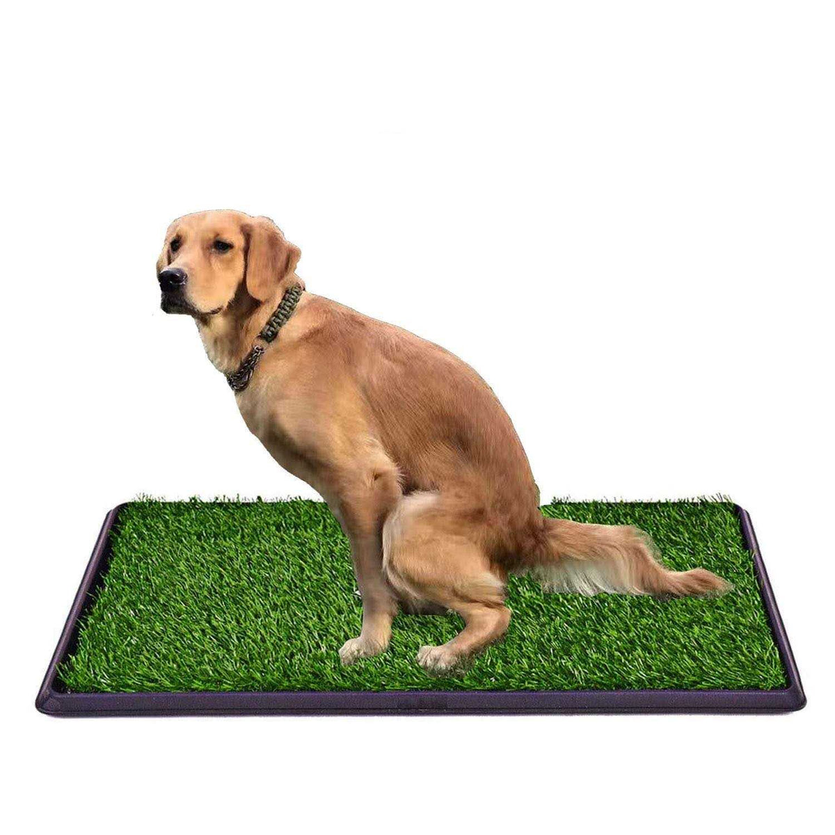 Fake Grass Dog Potty Pad with Tray E48101