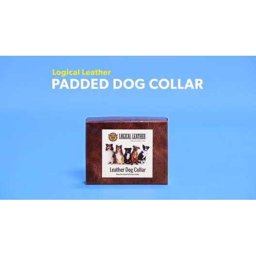 Padded Full Grain Genuine Leather Dog Collar P447992