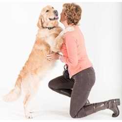 Tartar Control Dental Spray for Dogs X7039