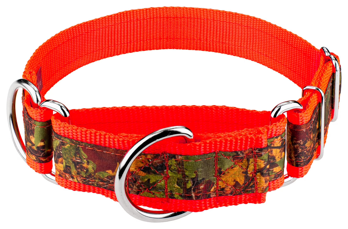 Southern Forest Camo Martingale Dog Collar, 1 1/2 inch, Extra Large N924