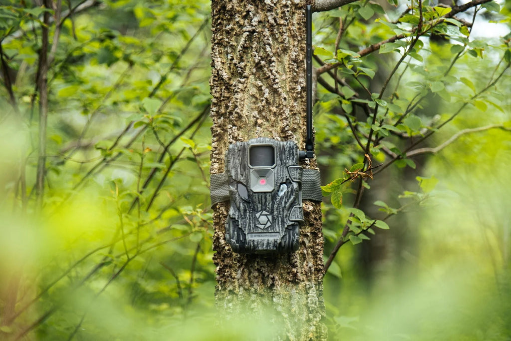 26.0-Megapixel Wireless Hunting Trail Camera Z8401