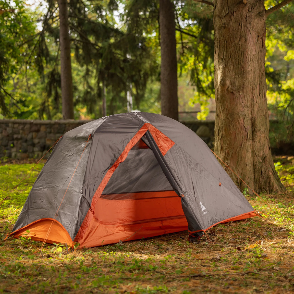 Lightweight 1-Person Backpacking Tent M567