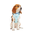 Teal Dog Harness I211