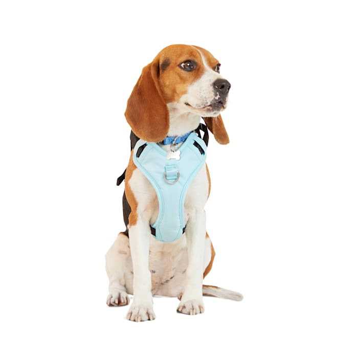 Teal Dog Harness I211