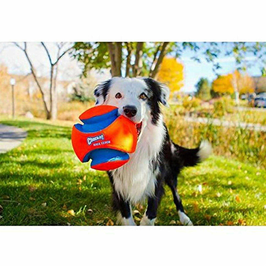 Kick Fetch Ball Dog Toy H86277