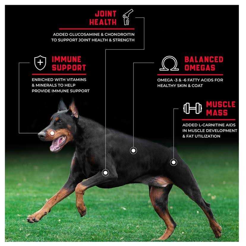 Grain-Free Beef Dry Dog Food N1689