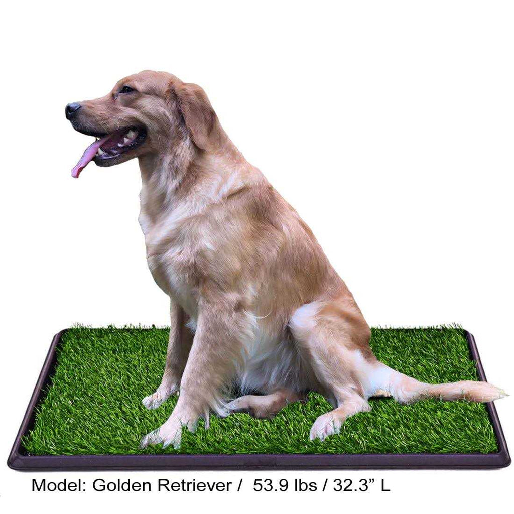 Fake Grass Dog Potty Pad with Tray E48101