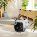 Two Door Plastic Dog & Cat Kennel D45859